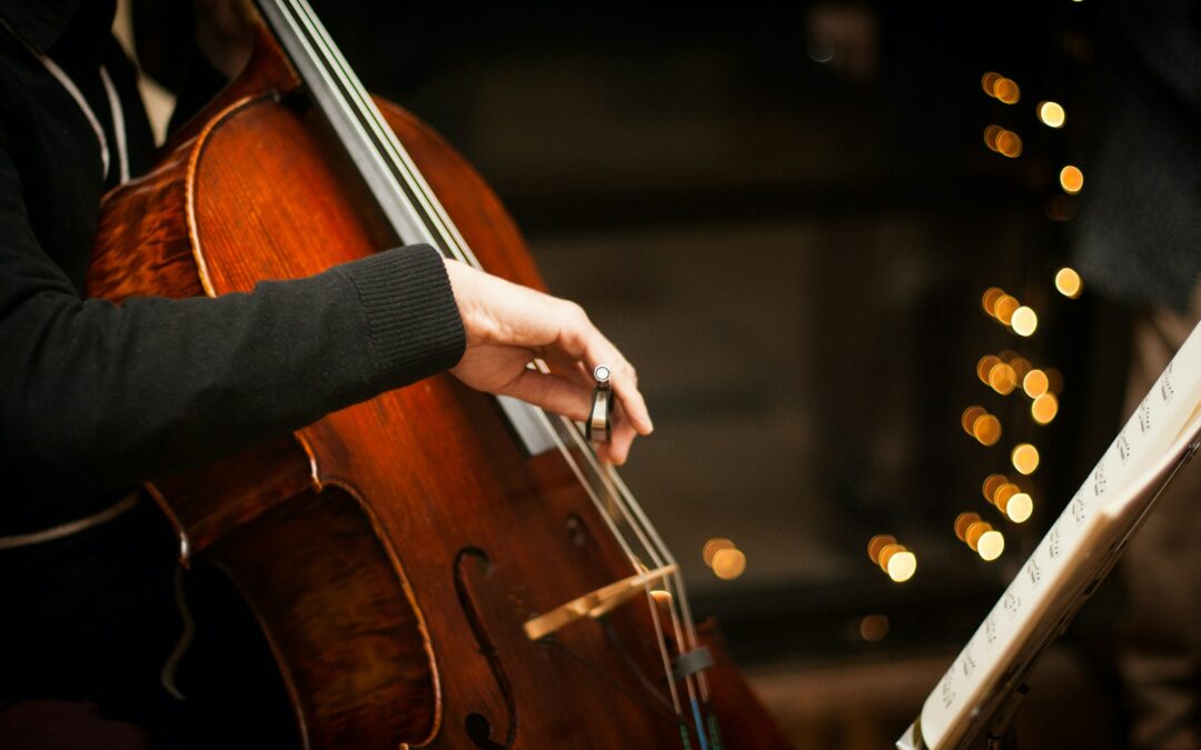 person playing brown violin during daytime