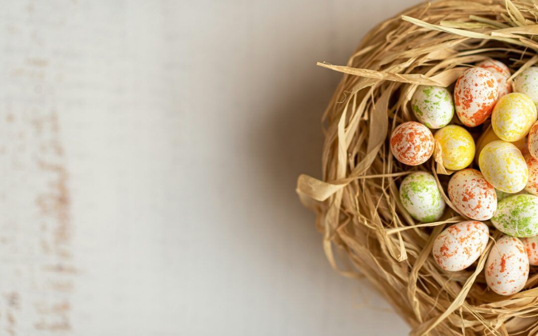 a bird nest filled with eggs on top of a table